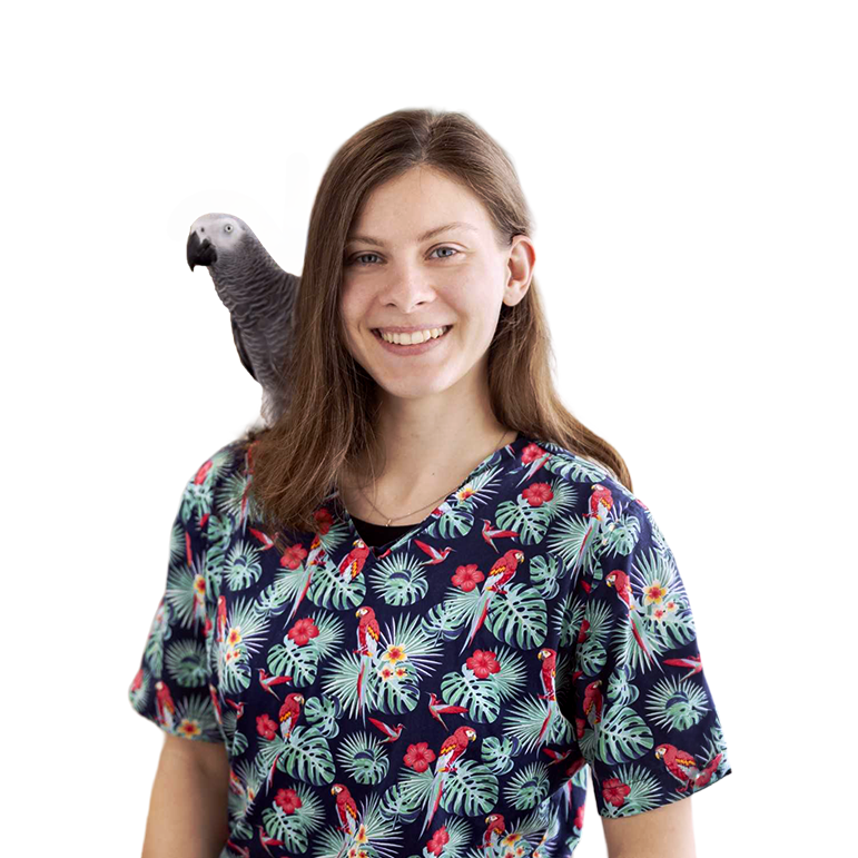 ptaci veterinarka hradec kralove